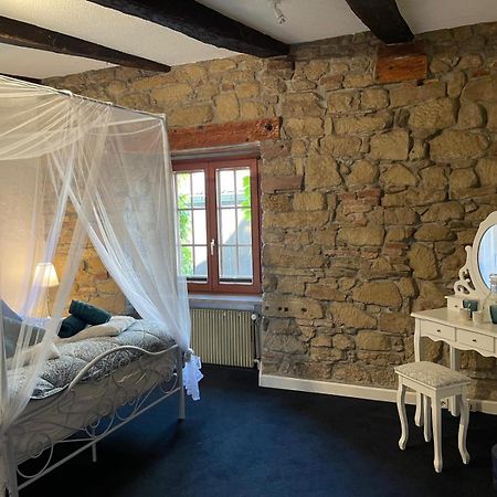 Apartament Maison De Charme "Le Moulin D'Hagenthal" - Chambre Romantique Zewnętrze zdjęcie