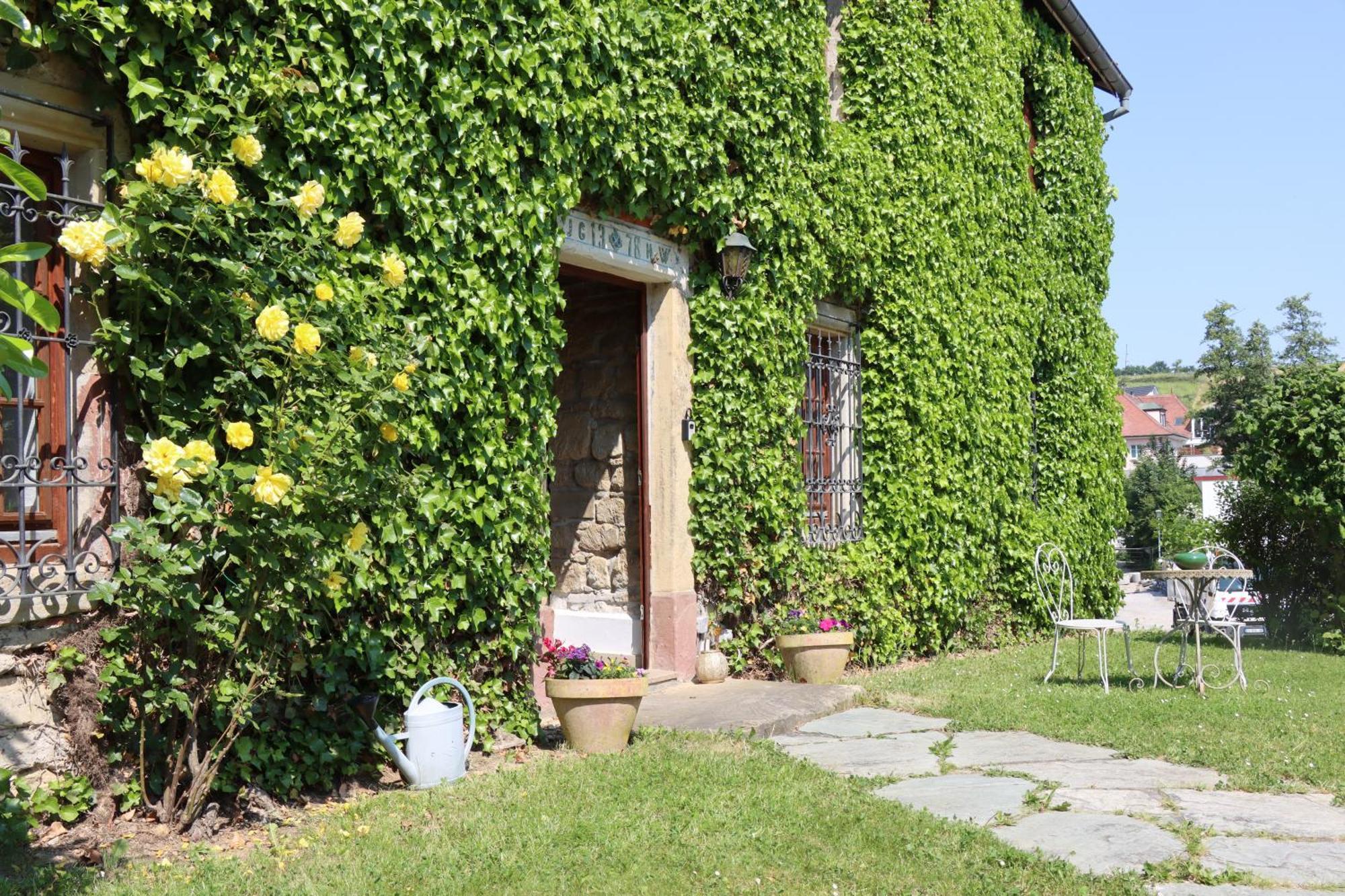 Apartament Maison De Charme "Le Moulin D'Hagenthal" - Chambre Romantique Zewnętrze zdjęcie